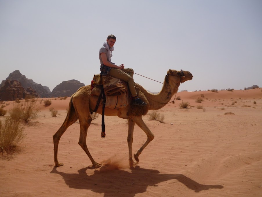A camel in Jordan